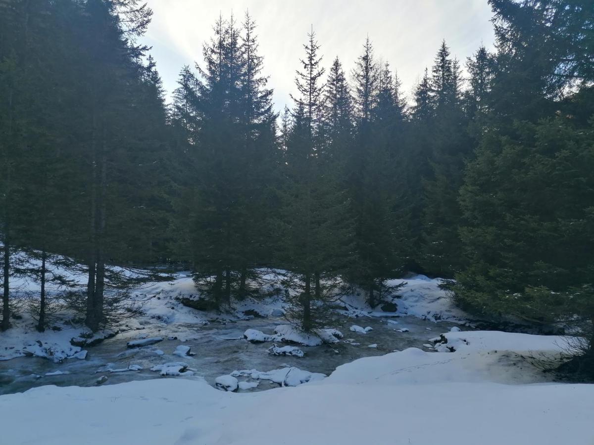 Ferienwohnungen Unterangerhof Quinzo المظهر الخارجي الصورة